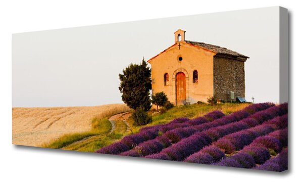 Tablou pe panza canvas Câmp Peisaj Brun Verde Roz
