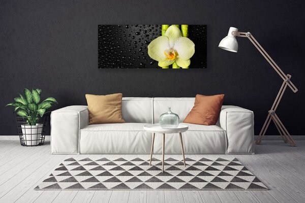 Tablou pe panza canvas Bamboo Tub flori Floral Verde Galben