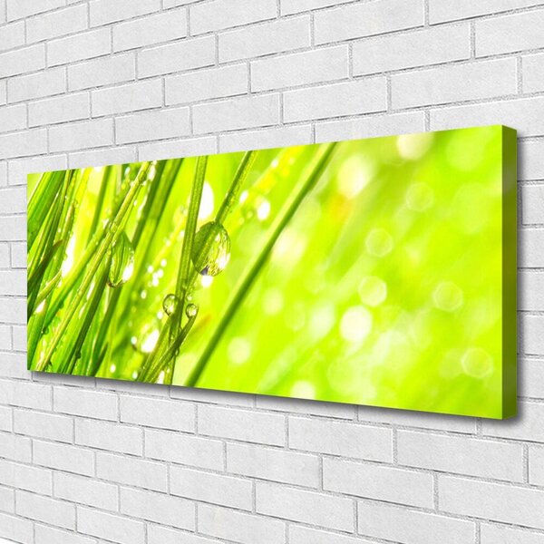 Tablou pe panza canvas Weed Natura verde