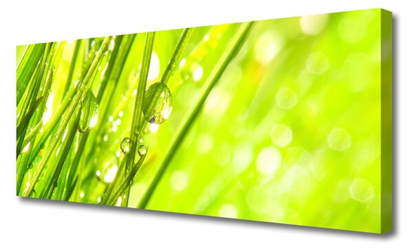Tablou pe panza canvas Weed Natura verde