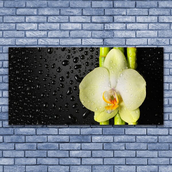 Tablou pe panza canvas Bamboo Tub flori Floral Verde Galben