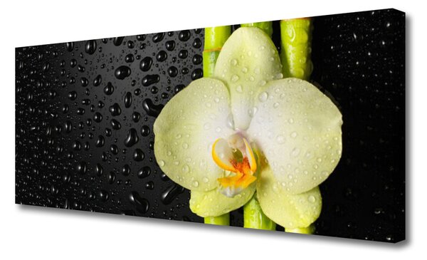 Tablou pe panza canvas Bamboo Tub flori Floral Verde Galben