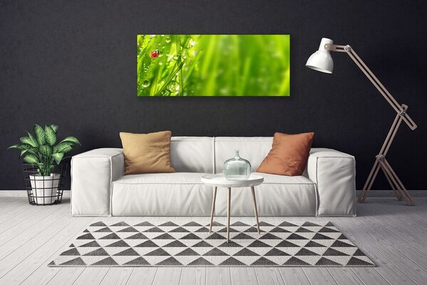Tablou pe panza canvas Iarbă gărgăriță Natura Gri Roșu Negru