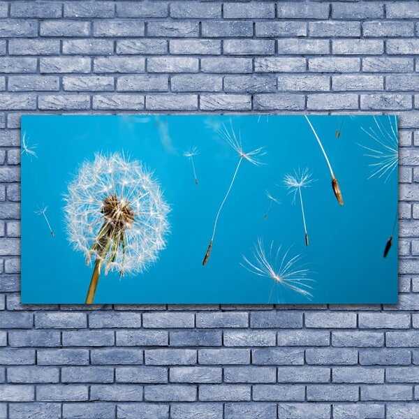Tablou pe panza canvas Păpădie Floral Alb