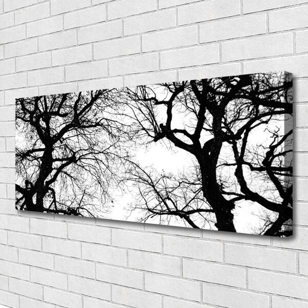 Tablou pe panza canvas Copaci Natura negru
