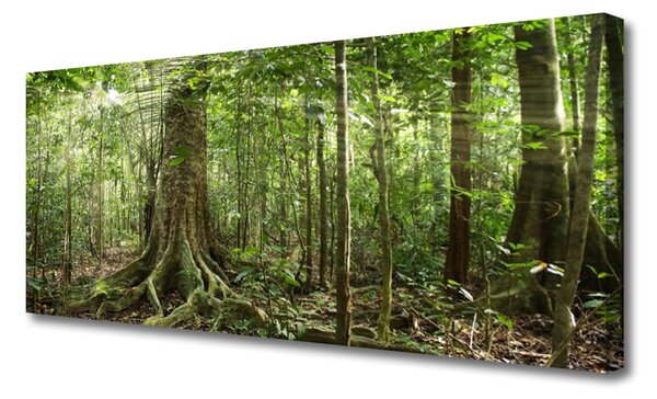 Tablou pe panza canvas Natural Pădurea Verde Maro