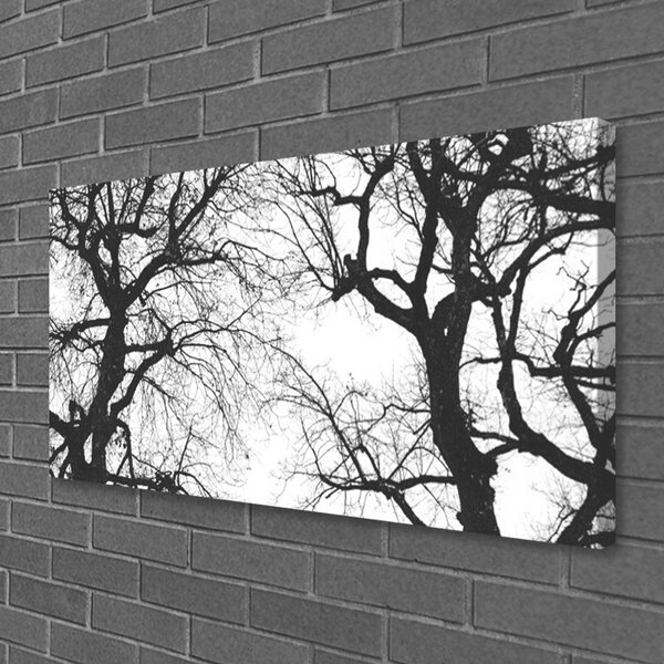 Tablou pe panza canvas Copaci Natura negru