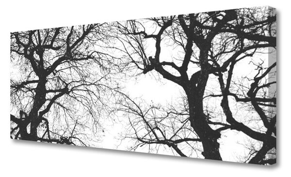 Tablou pe panza canvas Copaci Natura negru