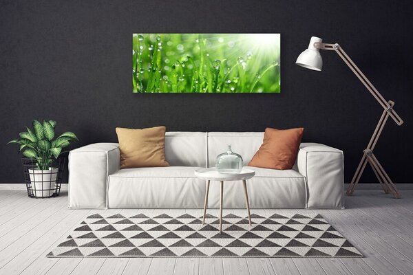 Tablou pe panza canvas Iarbă Natura verde
