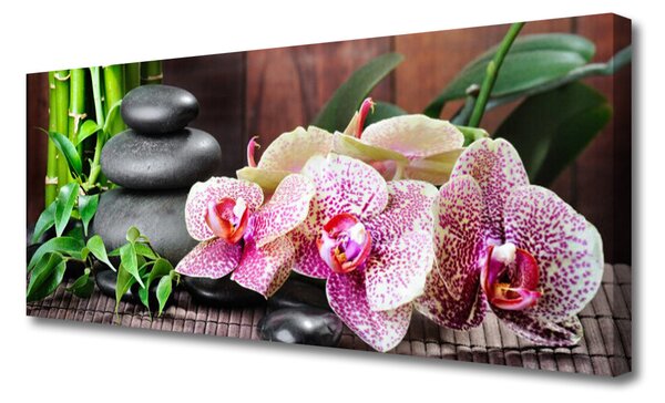Tablou pe panza canvas Bamboo pietre Flori Floral Verde Gri Roz