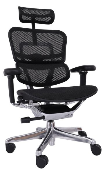 Scaun de birou Ergohuman 2 Elite BS Black