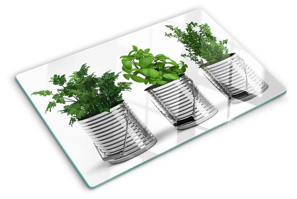 Tocător sticlă Plante în ghivece metalice
