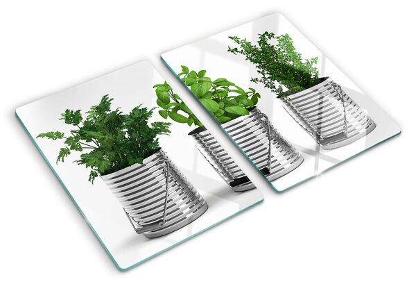 Tocător sticlă Plante în ghivece metalice