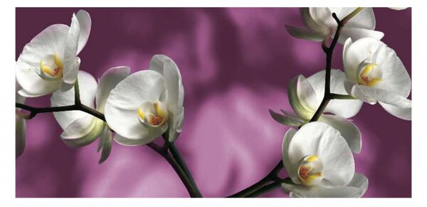 Panou bucatarie, protectie plita, aragaz, antistropire, print UV model Orhideea Alba a Lunii , 60x50 cm