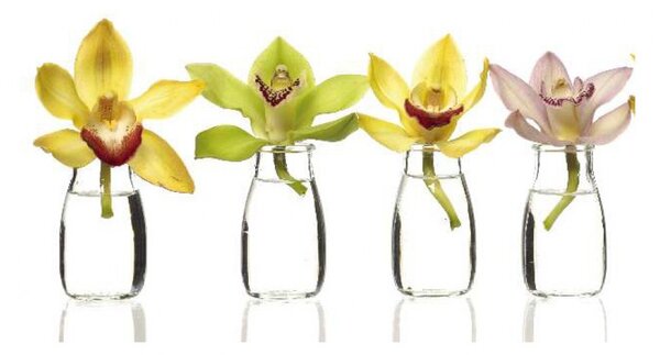 Panou bucatarie, protectie plita, aragaz, antistropire, print UV model 4 Orhidee Colorate, 60x50 cm