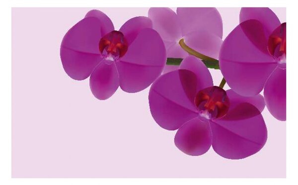 Panou bucatarie, protectie plita, aragaz, antistropire, print UV model 3 Orhidee Violet, 60x50 cm