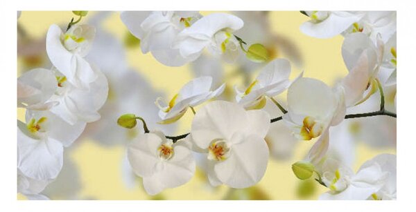 Panou bucatarie, protectie plita, aragaz, antistropire, print UV model Orhidee Alba 3, 60x50 cm