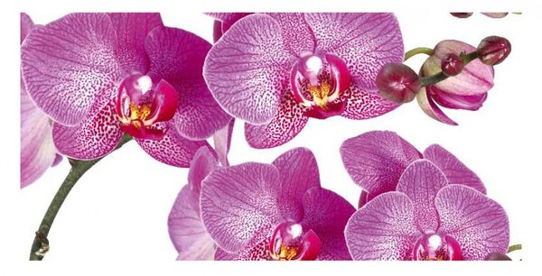Panou bucatarie, protectie plita, aragaz, antistropire, print UV model 4 Orhidee Mov , 60x50 cm