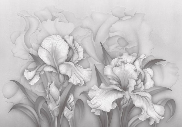Fototapet Flori elegante în nuanțe delicate de gri, Fototapet flori, Fototapet populare, t00747v1 - Tapeko.ro