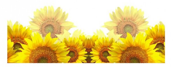 Panou bucatarie, protectie plita, aragaz, antistropire, print UV model Floarea Soarelui, 60x50 cm
