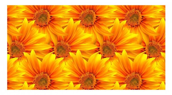 Panou bucatarie, protectie plita, aragaz, antistropire, print UV model Floarea Soarelui 2, 60x50 cm
