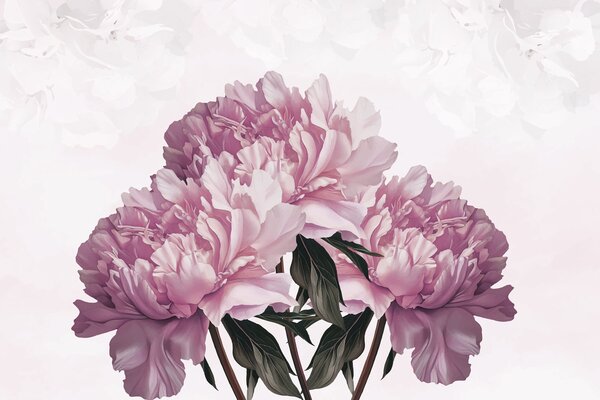 Fototapet Bujori înfloriți în nuanțe delicate, Fototapet flori, Fototapet populare, w03545v1 - Tapeko.ro