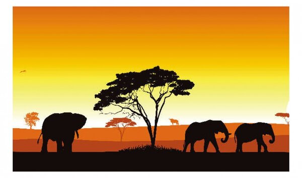 Panou bucatarie, protectie plita, aragaz, antistropire, print UV model Peisaj Elefanti, 60x50 cm