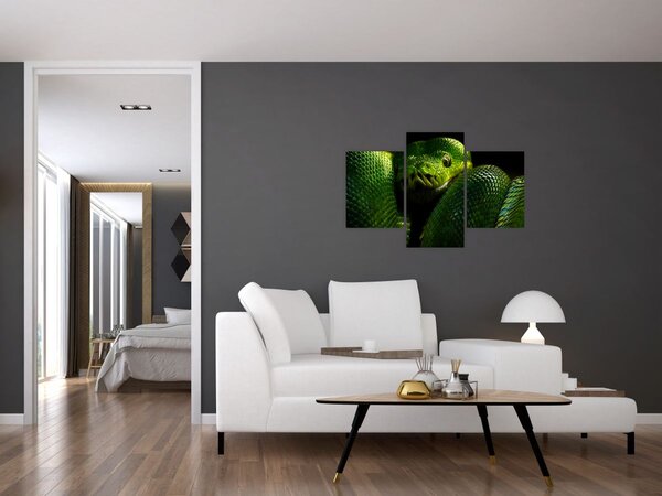 Tablou - Șarpele verde (90x60 cm)
