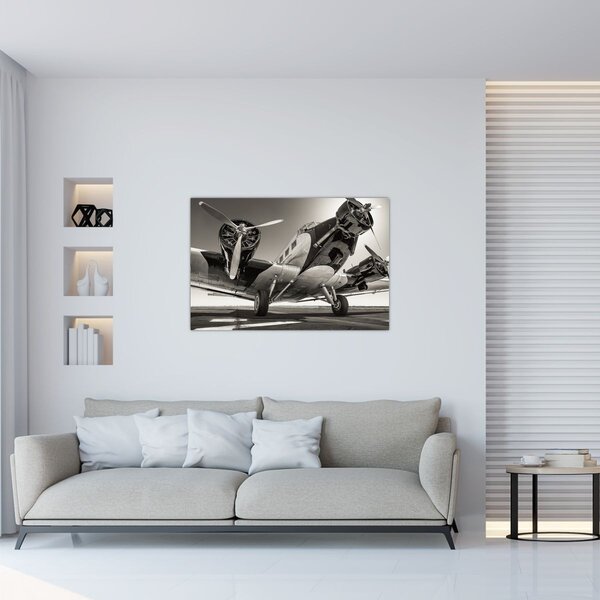 Tablou - Avioane istorice (90x60 cm)