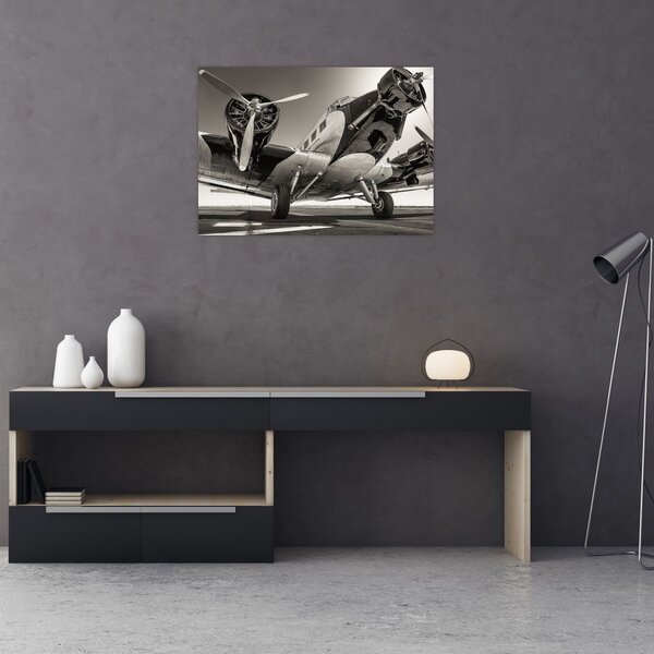 Tablou - Avioane istorice (70x50 cm)