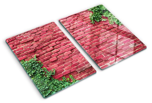 Tocător de bucătărie Zid de cărămidă cu vegetație
