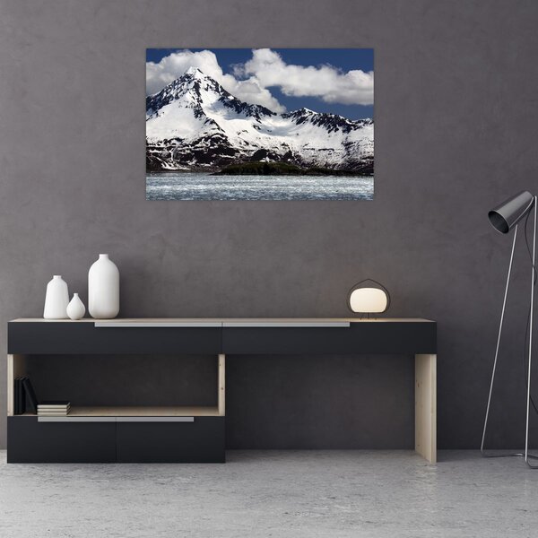 Tablou - Parcul Național Kenai Fjords (90x60 cm)