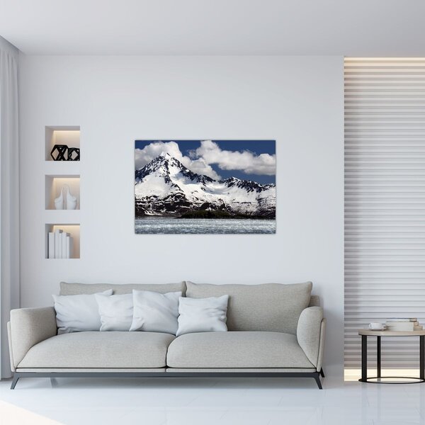 Tablou - Parcul Național Kenai Fjords (90x60 cm)