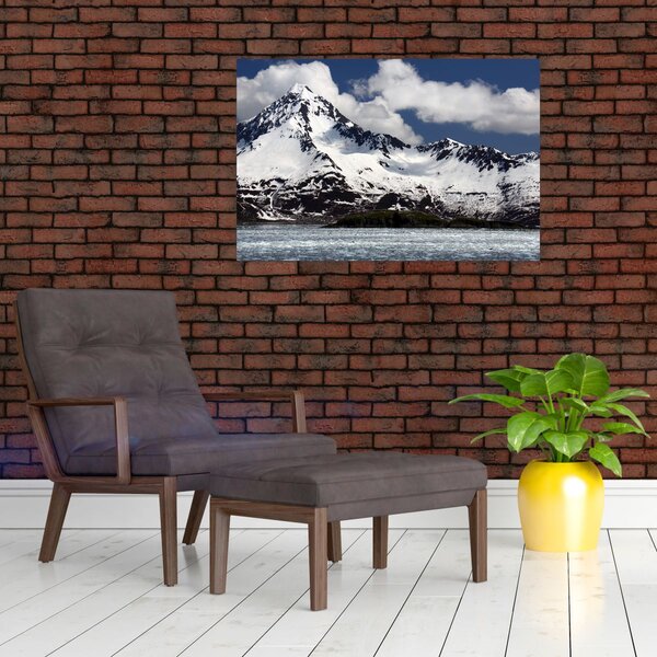 Tablou - Parcul Național Kenai Fjords (90x60 cm)