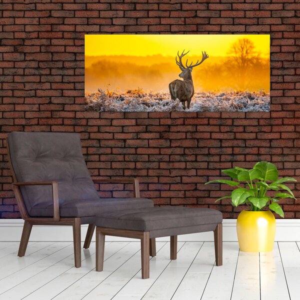 Tablou - Cerb la răsăritul soarelui (120x50 cm)