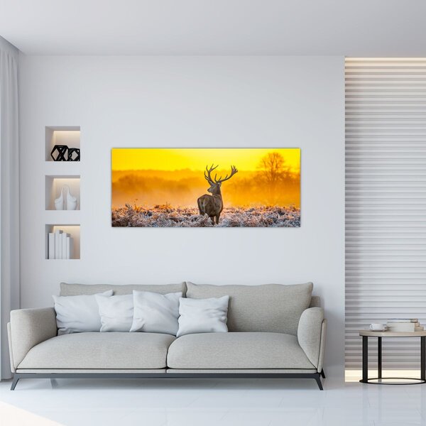 Tablou - Cerb la răsăritul soarelui (120x50 cm)