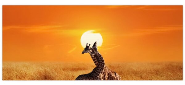 Tablou - Girafe în Parcul Național Serengeti (120x50 cm)