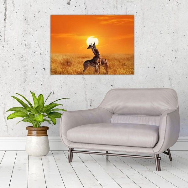 Tablou - Girafe în Parcul Național Serengeti (70x50 cm)