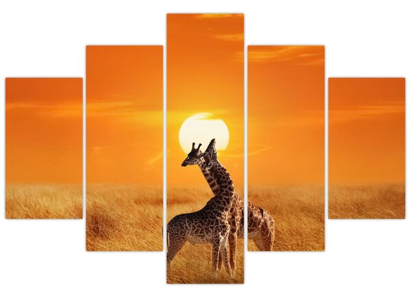 Tablou - Girafe în Parcul Național Serengeti (150x105 cm)