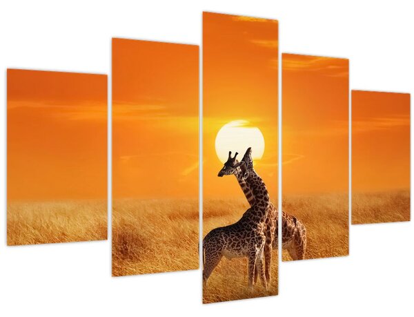 Tablou - Girafe în Parcul Național Serengeti (150x105 cm)