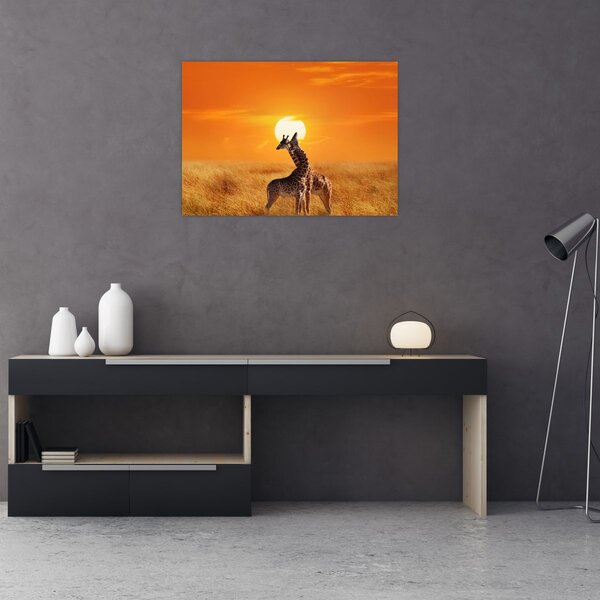 Tablou - Girafe în Parcul Național Serengeti (70x50 cm)