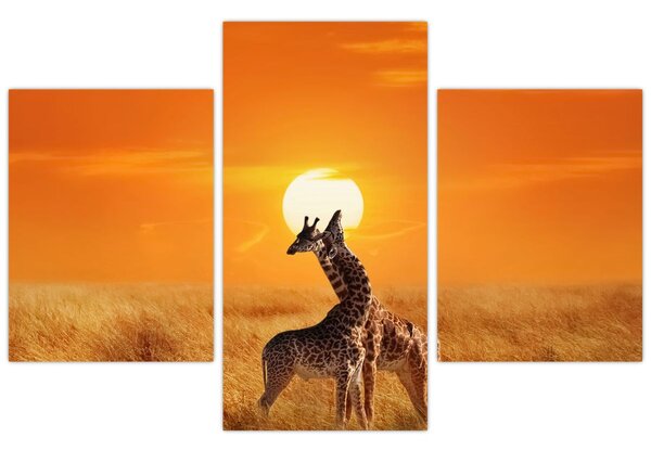 Tablou - Girafe în Parcul Național Serengeti (90x60 cm)