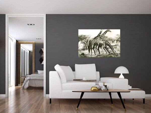 Tablou - Girafe, de epocă (90x60 cm)