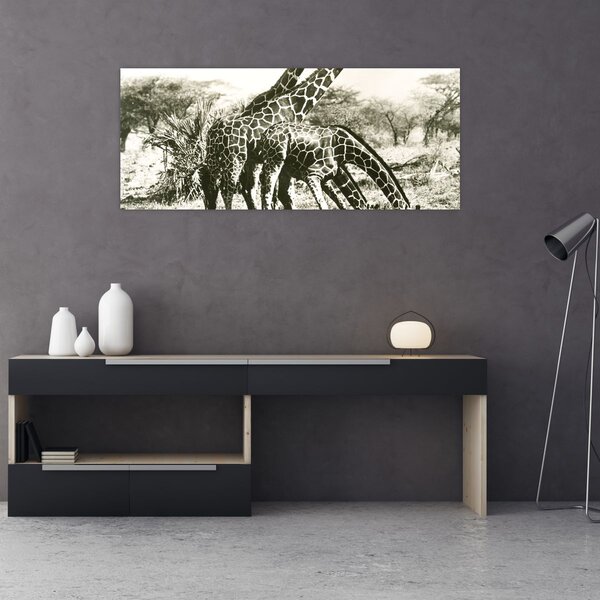 Tablou - Girafe, de epocă (120x50 cm)