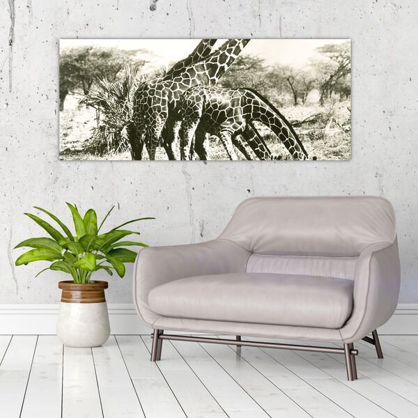 Tablou - Girafe, de epocă (120x50 cm)