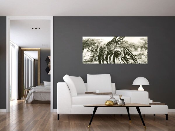 Tablou - Girafe, de epocă (120x50 cm)
