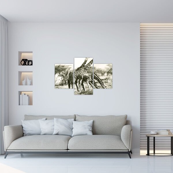 Tablou - Girafe, de epocă (90x60 cm)
