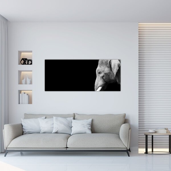 Tablou - Elefant (120x50 cm)