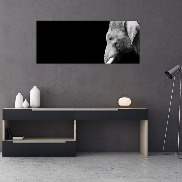 Tablou - Elefant (120x50 cm)