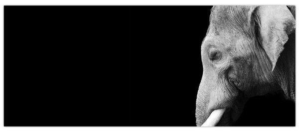 Tablou - Elefant (120x50 cm)